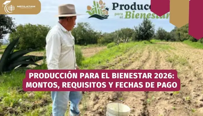 Campesino en su parcela de maíz, apoyo de Producción para el Bienestar 2026